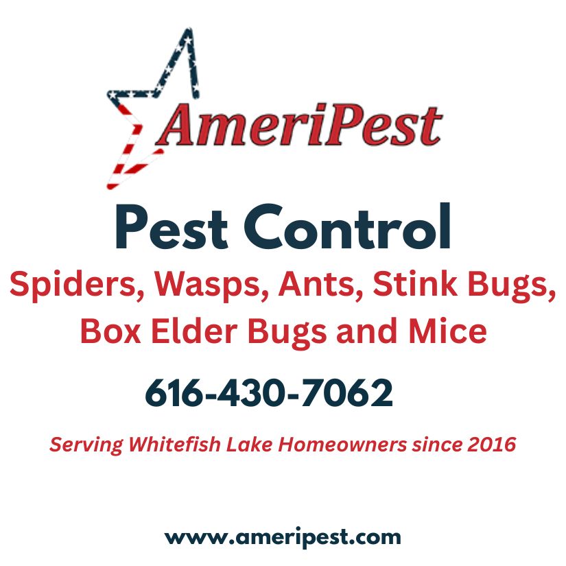 Ameripest Web Ad (1)